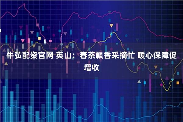 牛弘配资官网 英山：春茶飘香采摘忙 暖心保障促增收