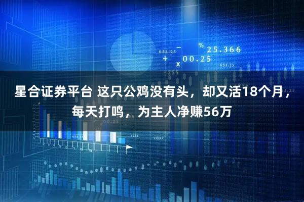 星合证券平台 这只公鸡没有头，却又活18个月，每天打鸣，为主人净赚56万