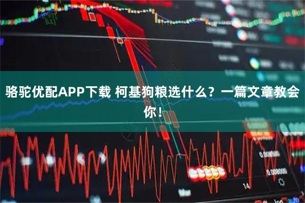 骆驼优配APP下载 柯基狗粮选什么？一篇文章教会你！