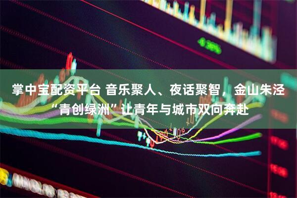 掌中宝配资平台 音乐聚人、夜话聚智，金山朱泾“青创绿洲”让青年与城市双向奔赴